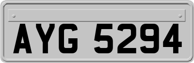 AYG5294