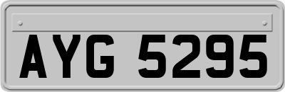 AYG5295