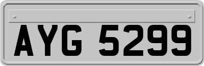 AYG5299