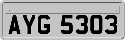 AYG5303