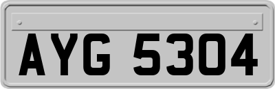 AYG5304