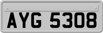 AYG5308