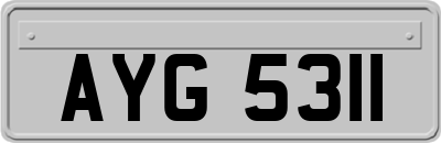 AYG5311