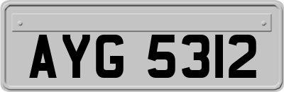 AYG5312