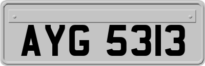 AYG5313