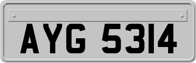 AYG5314