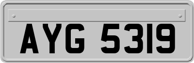 AYG5319