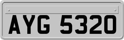 AYG5320