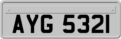 AYG5321