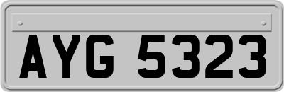 AYG5323