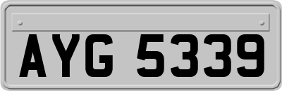 AYG5339