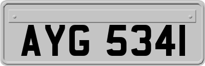 AYG5341