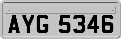 AYG5346