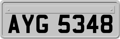 AYG5348