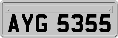 AYG5355