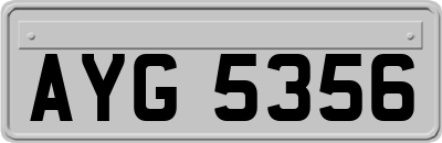 AYG5356