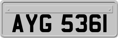 AYG5361
