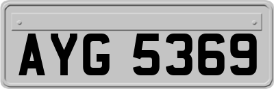 AYG5369