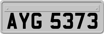 AYG5373