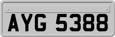 AYG5388