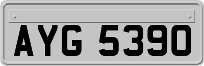 AYG5390