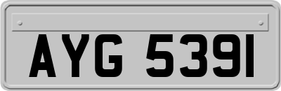 AYG5391