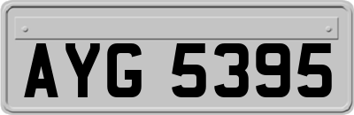 AYG5395