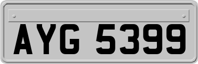 AYG5399