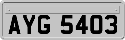 AYG5403