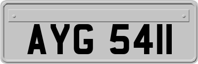 AYG5411