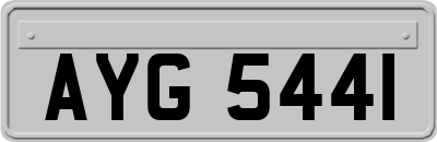 AYG5441