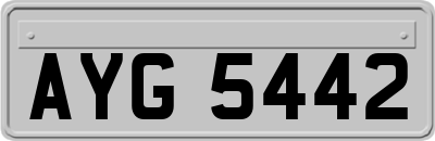 AYG5442