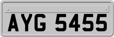 AYG5455