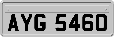 AYG5460