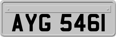 AYG5461