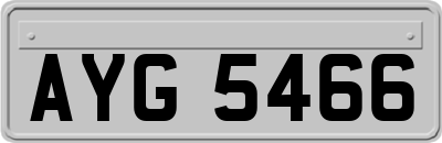 AYG5466