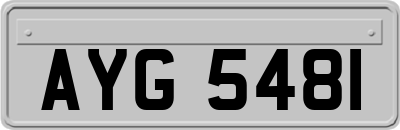 AYG5481