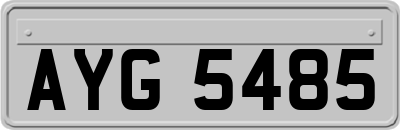 AYG5485