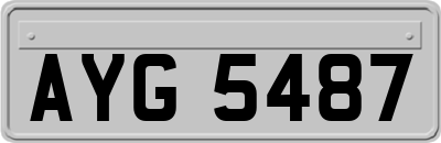 AYG5487