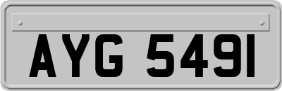AYG5491