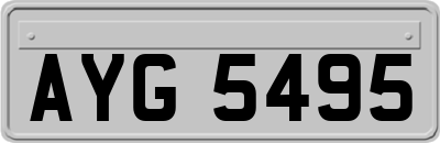 AYG5495