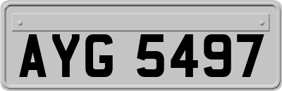 AYG5497