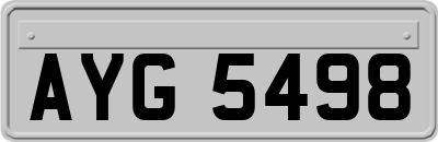 AYG5498