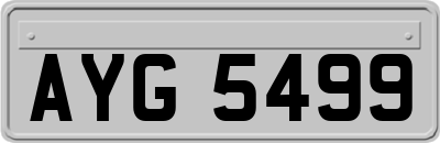 AYG5499