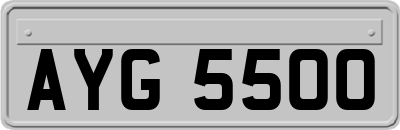 AYG5500