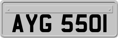 AYG5501