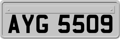 AYG5509