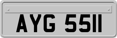 AYG5511