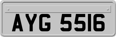 AYG5516