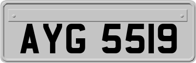 AYG5519